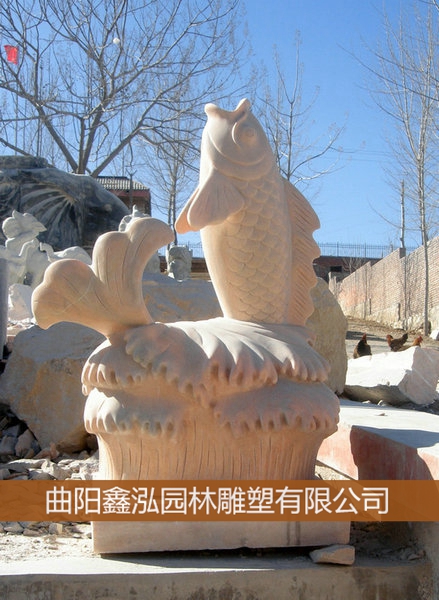 鯉魚